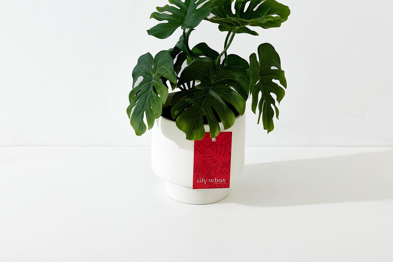 企業(yè)VI設(shè)計(jì)